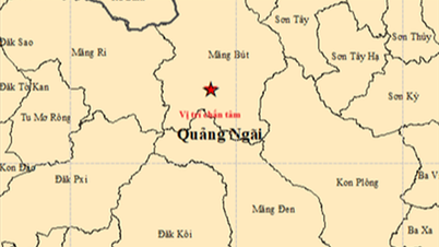 នៅព្រឹកព្រលឹមថ្ងៃទី ៥ នៃបុណ្យចូលឆ្នាំចិន មានការរញ្ជួយដីចំនួន ៦ លើកបានកើតឡើងនៅខេត្តក្វាងង៉ាយ។