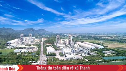 Компания Long Son Cement сохраняет свою долю на внутреннем рынке и наращивает экспорт.