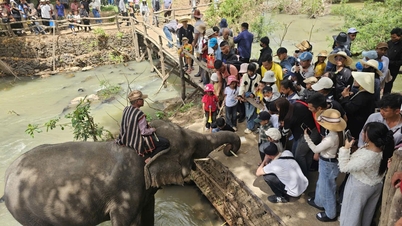 Pariwisata Dak Lak berkembang pesat di awal Tahun Kuda.