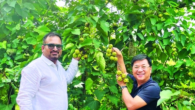 ផលិតផលកសិកម្មរបស់ខេត្តក្វាងទ្រីបានទៅដល់ពិភពលោក។