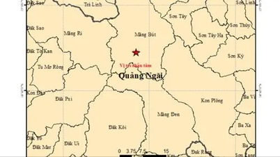 Quang Ngai: 21 فروری کی صبح 6 زلزلے آئے۔