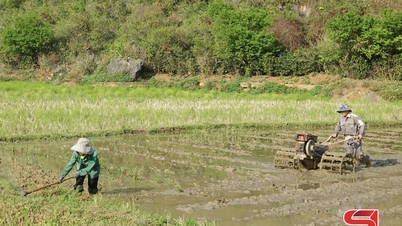 Los agricultores corren a los campos en primavera.