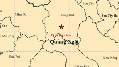 Seks jordskjelv på rad rammet Quang Ngai tidlig om morgenen den femte dagen i Tet (månenyttår).