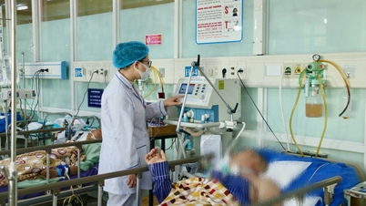 Lunar New Year 2026 (Year of the Horse): Number of outpatient visits increases, hospitalization rate decreases slightly.