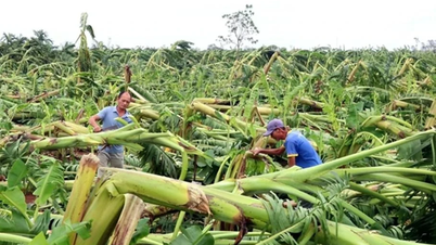 কৃষি বীমার জন্য নতুন প্রস্তাব।