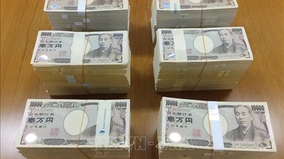Den japanska yenens köpkraft har fallit till sin lägsta nivå på 53 år.