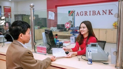 Az Agribank átfogó áttörést ért el a szerkezetátalakítás után, jelentős tőkebeáramlást vonzva.