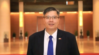 Die Lokalisierungsrate erhöhen und die Direktinvestitionsströme aus Südkorea effektiv nutzen.