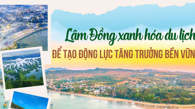 Provincia Lam Dong își ecologizează sectorul turistic pentru a crea un impuls pentru o creștere durabilă.