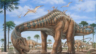 Oppdag de bemerkelsesverdige langhalsede dinosaurene fra juraperioden.