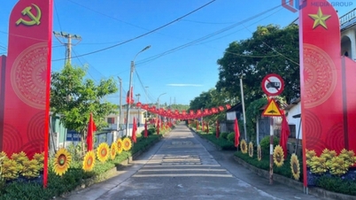 La commune de Hai Ninh accueille avec confiance le nouveau printemps.