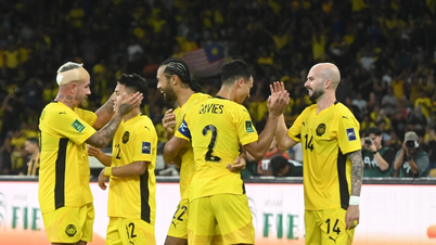 أكد الاتحاد الآسيوي لكرة القدم أن سبعة لاعبين من المنتخب الوطني الماليزي، يُزعم أنهم ارتكبوا تزويراً في إجراءات التجنيس، غير مؤهلين لتمثيل المنتخب الوطني.