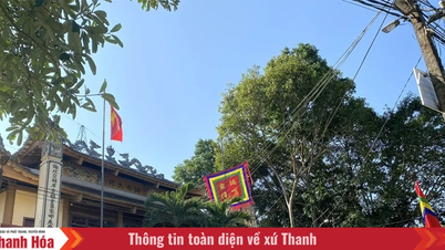 Musim bunga di Tanah Tapak Bersejarah