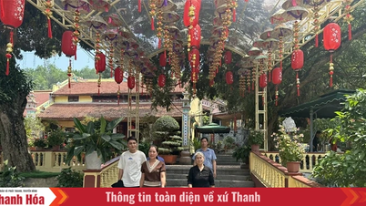 Tuong Van Ancient Pagoda - موسم بہار میں ثقافتی اور روحانی ملاقات کا مقام