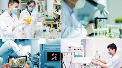 Science, technologie, innovation et transformation numérique : nouveaux moteurs stratégiques d’une croissance à deux chiffres au Vietnam