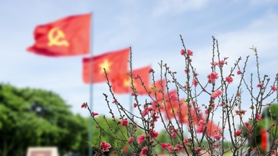 Vietnam - Destinasi kebahagiaan dan kedamaian