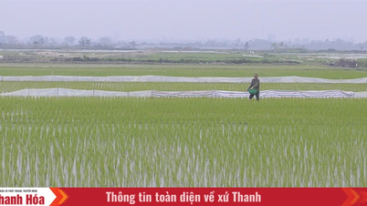 Farmers actively head to the fields at the beginning of spring.