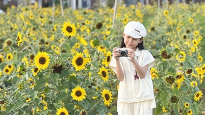 ทริปท่องเที่ยวช่วงฤดูใบไม้ผลิบนถนนดินแดงที่ปูด้วยหินบะซอลต์