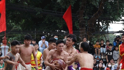 Hanoi: Spannend worstelfestival in het dorp Thuy Linh tijdens de lente van het Jaar van het Paard 2026.