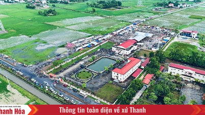 Dong Thanh vítá nový rok s mnoha novými vítězstvími.