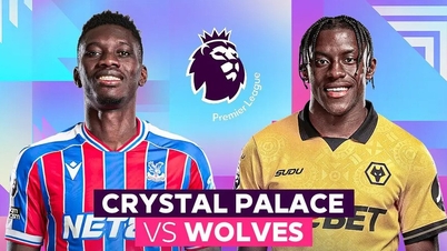 Prévia da partida: Crystal Palace x Wolves, 21h do dia 22 de fevereiro: Uma voz na história.