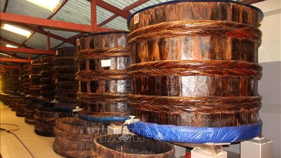Preservando a alma da tradicional vila de Phan Thiet, onde se produz molho de peixe.