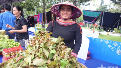 Daun Bep - hadiah dari hutan yang luas.