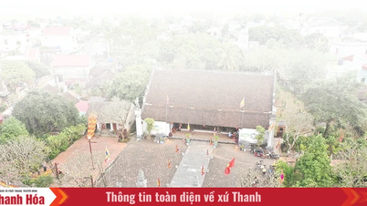 Província de Thanh Hoa, quanto mais tempo fico lá, mais saudades me dão.