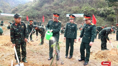 The Party Committee and the Provincial Military Command launched the Tree Planting Festival.