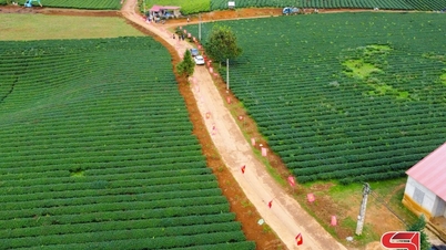 Binh Thuan aspire à construire de nouvelles zones rurales.