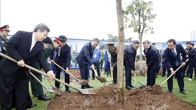 O Secretário-Geral To Lam participou da cerimônia de lançamento do "Festival de Plantio de Árvores em Eterna Gratidão ao Presidente Ho Chi Minh" em Hanói.