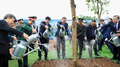 Setiausaha Agung Lam: 'Menanam pokok lain menghantar lebih banyak kepercayaan pada masa hadapan'