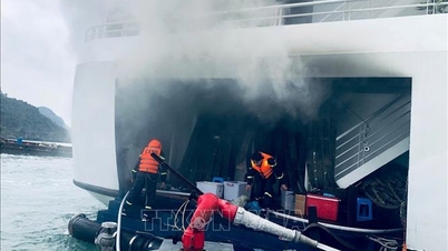 Snabb insats vid branden på ett kryssningsfartyg som övernattade i Cat Hais särskilda ekonomiska zon.