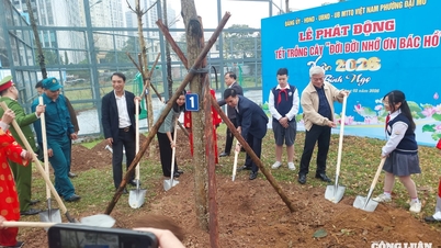 El barrio Dai Mo participa con entusiasmo en el "Festival de Plantación de Árboles" a principios de la primavera de 2026 (Año del Caballo).
