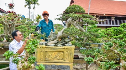 Jardins ornamentais únicos que exibem o patrimônio cultural tangível em Hai Phong.