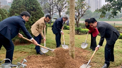 Distrik Thanh Xuan meluncurkan "Festival Penanaman Pohon sebagai Ungkapan Terima Kasih Abadi kepada Paman Ho" Musim Semi 2026