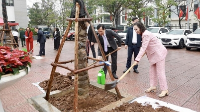Quartier de Duong Noi : Planter des arbres pour créer un espace urbain en harmonie avec la nature.