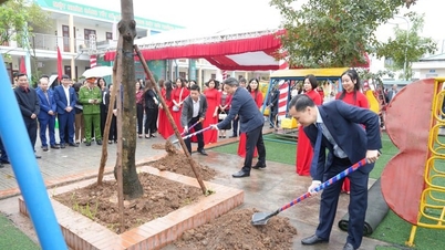 Commune de Thanh Oai : Objectif : planter 2 000 nouveaux arbres.