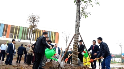 Commune de Binh Minh : Lancement du Festival de plantation d'arbres de printemps 2026 (Année du Cheval)