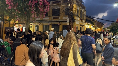 Da Nang arrecadou uma enorme quantia de dinheiro durante o Tet.