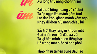 Bau Tro Tri Am