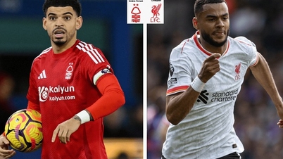 Pronóstico del partido Nottingham Forest - Liverpool: Derribando la fortaleza del City