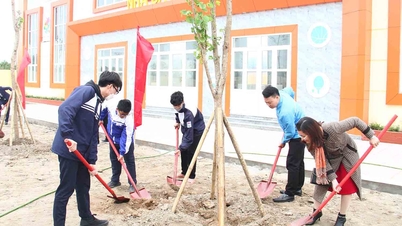Hai Phong plantará 200.000 árvores na primavera do Ano do Cavalo de 2026.
