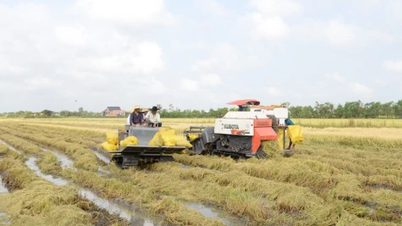 Para petani dengan penuh antusias menuju ladang di awal tahun.