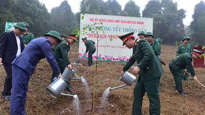 El Comando del Mausoleo de Ho Chi Minh inauguró el Festival de Plantación de Árboles de Primavera 2026 (Año del Caballo).