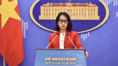 Le Vietnam affirme sa volonté de transparence fiscale et attache une grande importance à la coopération avec l'OCDE suite à la décision de l'Union européenne.