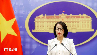 Vietnam valora la cooperación y el intercambio con la OCDE para garantizar la transparencia y la eficiencia del sistema tributario.