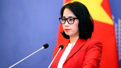 Vietnams reaksjon på at EU legger Vietnam til listen over ikke-samarbeidende områder i skattespørsmål.