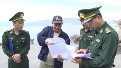 Gia Lai is determined to have the "yellow card" for IUU (Illegal, Unreported, and Unregulated) fishing lifted.