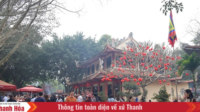 Pèlerinage printanier au temple de Cua Dat
